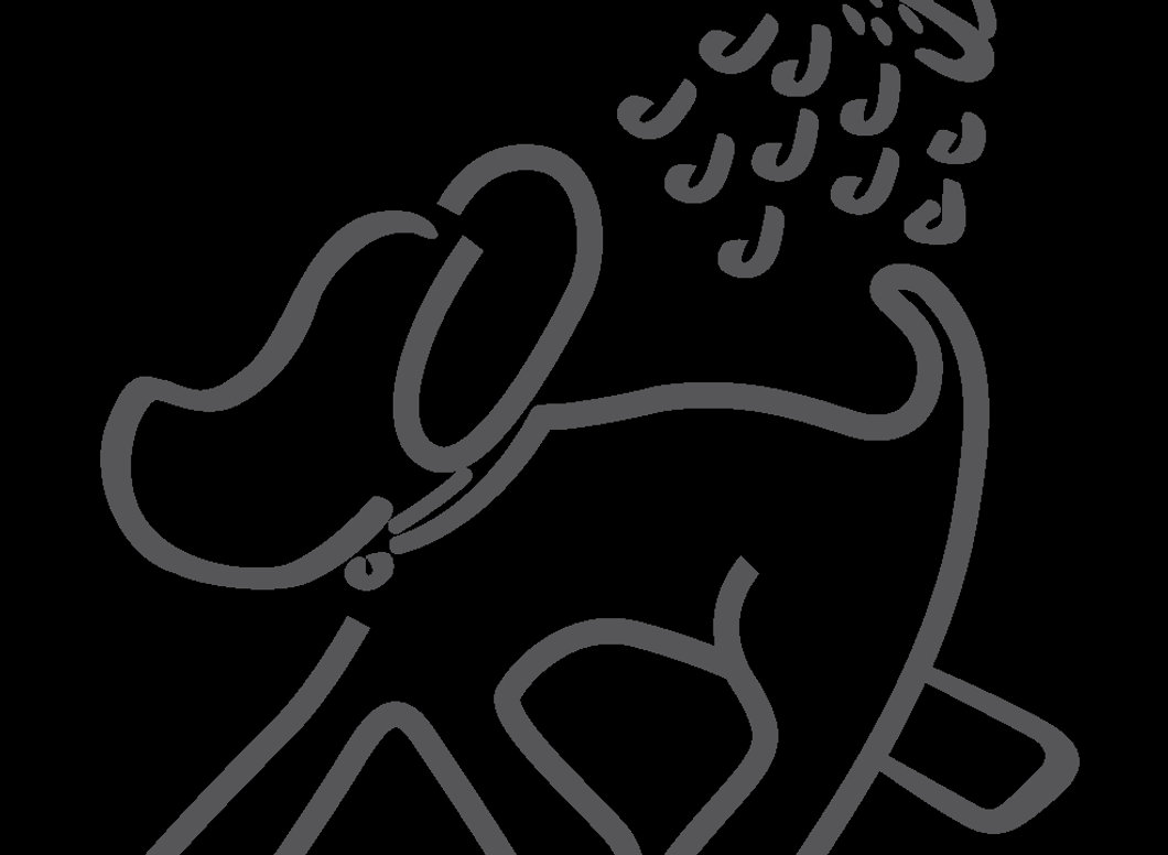 Professional Pet Grooming Tools